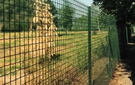 забор из сварной сетки
